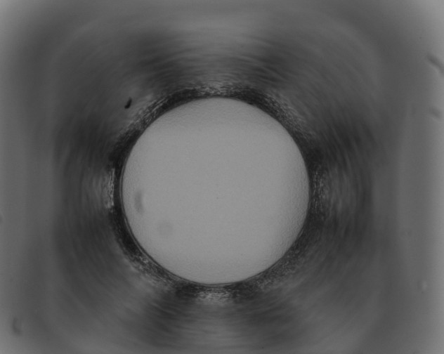 X0000092220694200710121157