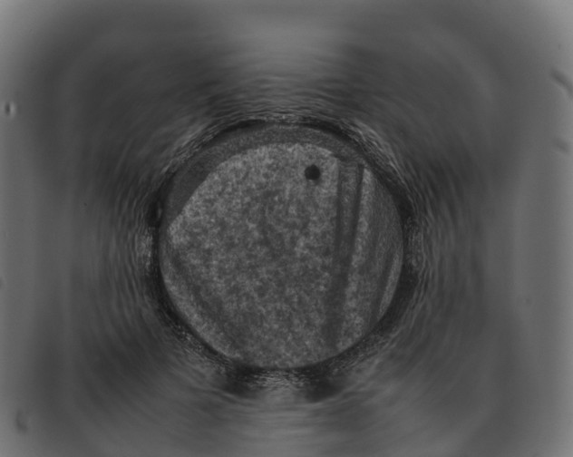X0000092220697200710121157