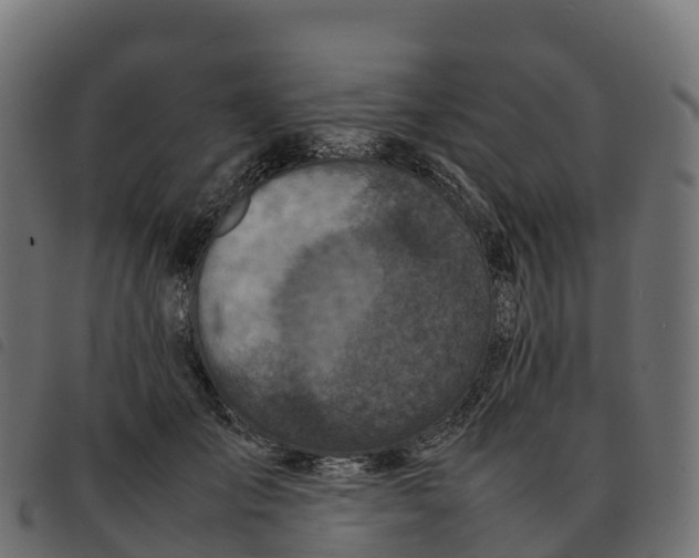 X0000092220701200710121157