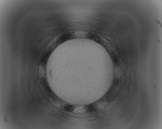 X0000092220705200710121157