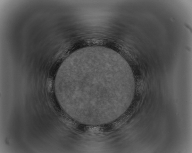 X0000092220709200710121157
