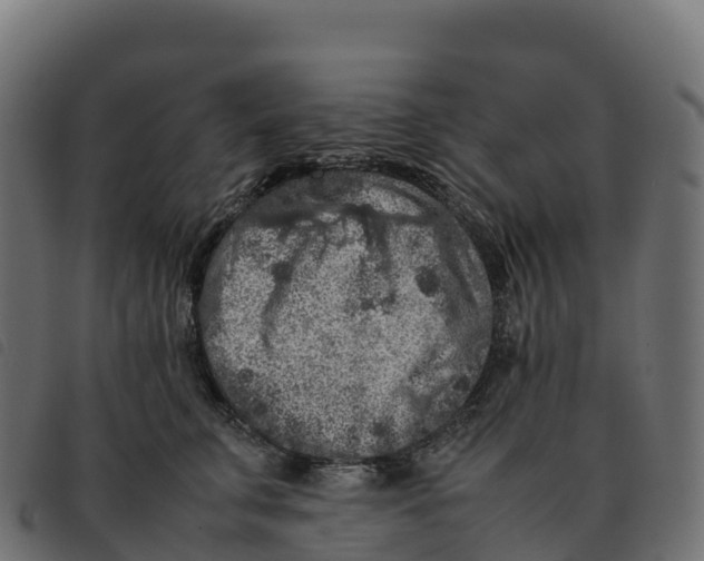 X0000092220711200710121157