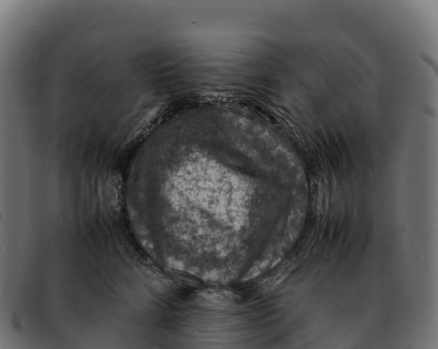 X0000092220712200710121157