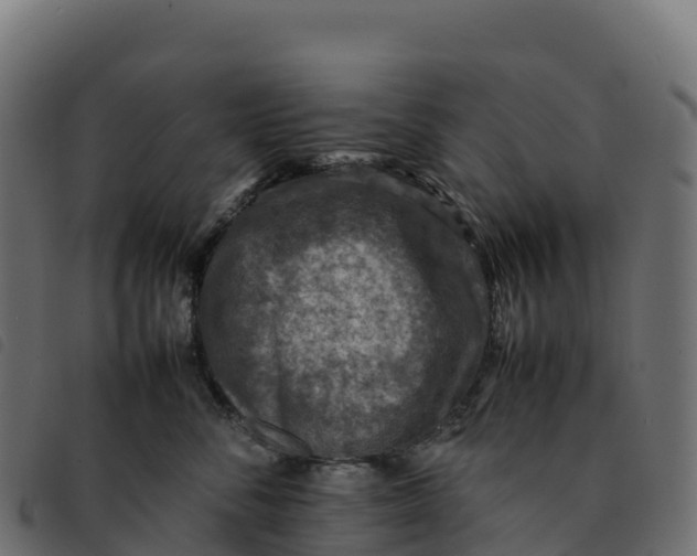 X0000092220716200710121157