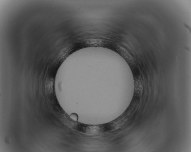 X0000092220717200710121157