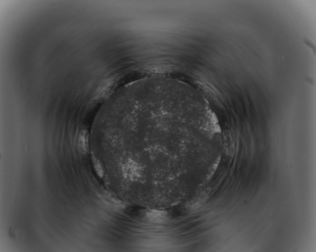 X0000092220718200710121157