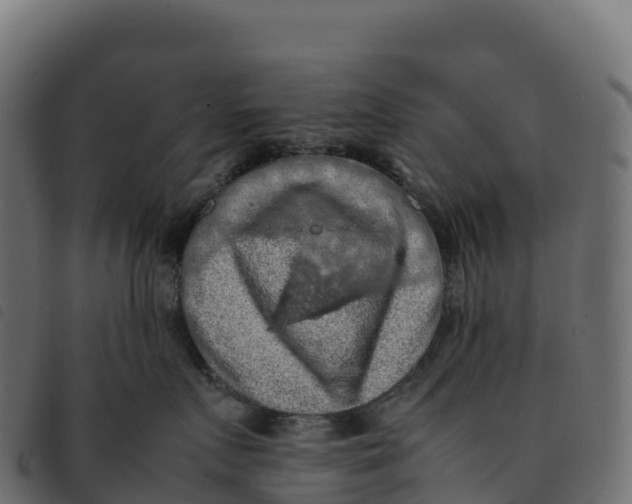 X0000092220719200710121157