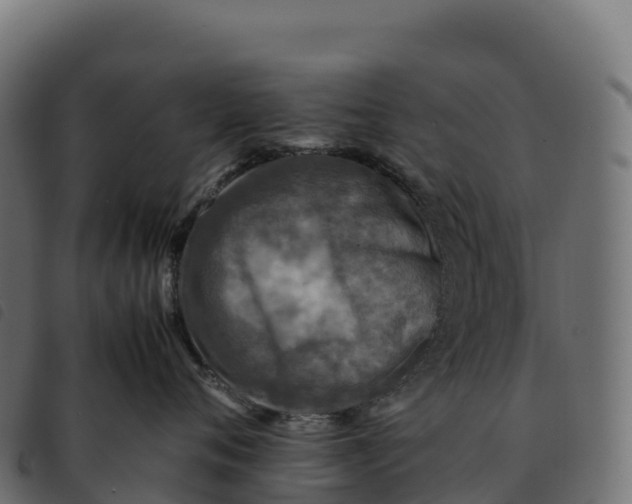 X0000092220720200710121157