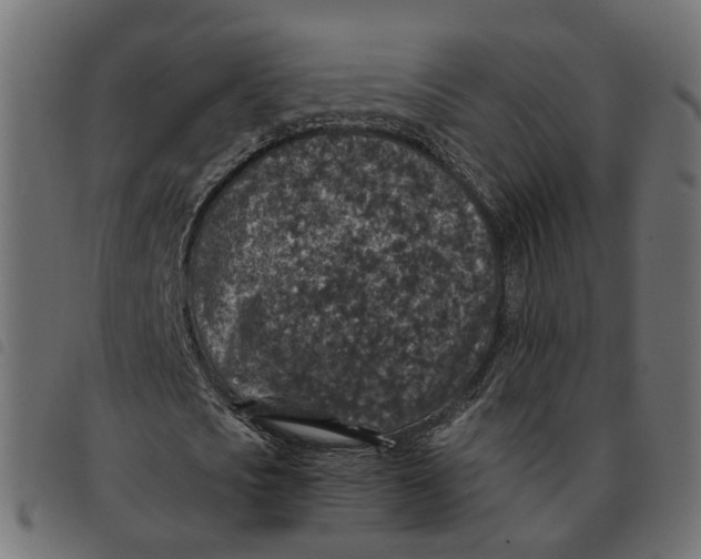 X0000092220721200710121156