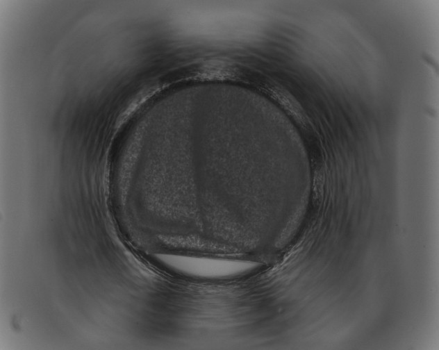 X0000092220722200710121156