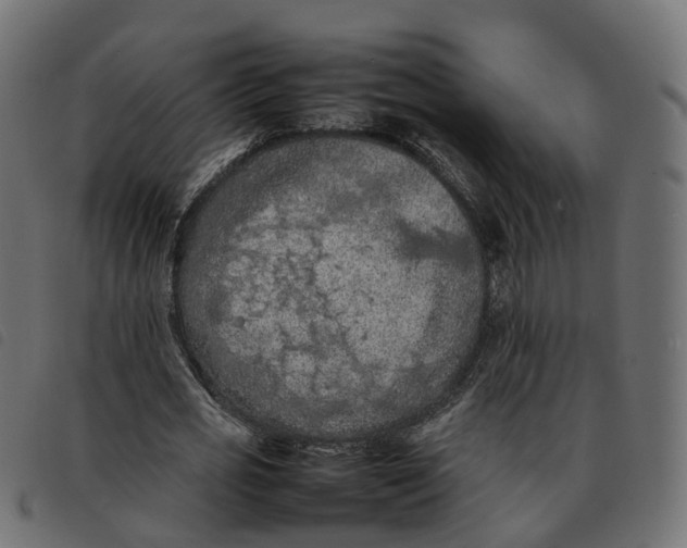 X0000092220725200710121156