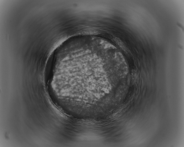 X0000092220726200710121156