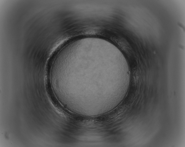 X0000092220728200710121156