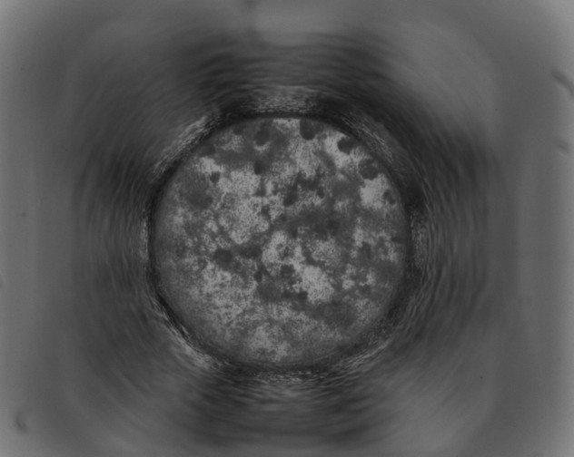 X0000092220729200710121156