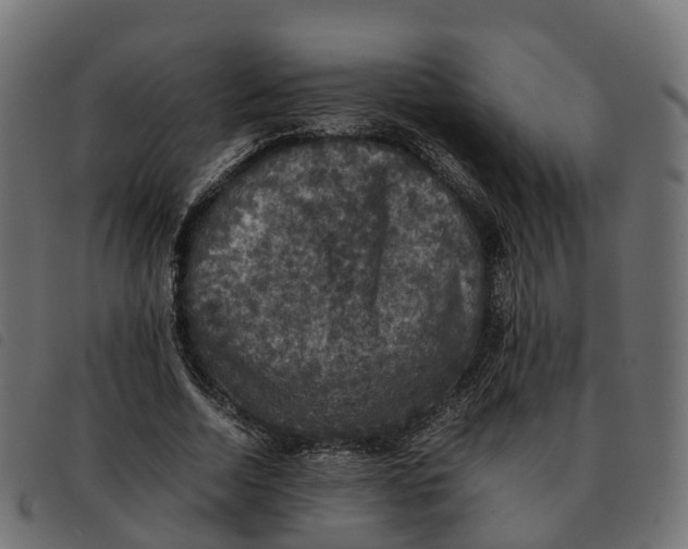 X0000092220730200710121156