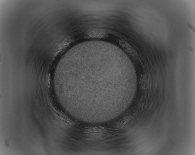 X0000092220731200710121156
