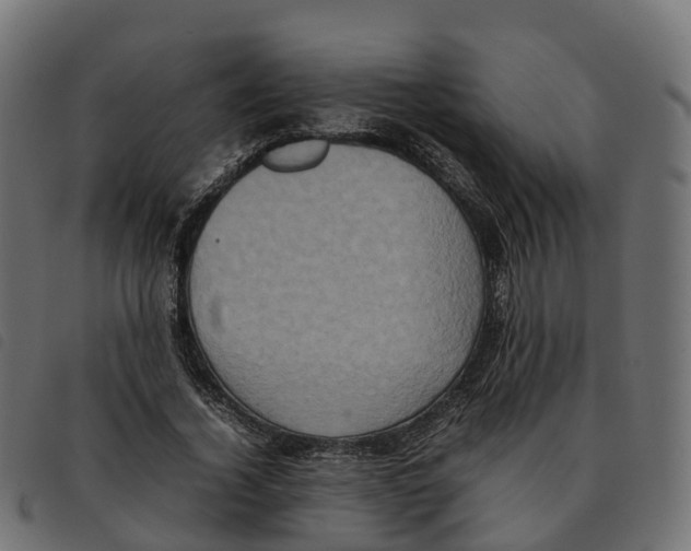 X0000092220732200710121156