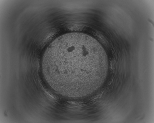 X0000092220733200710121156