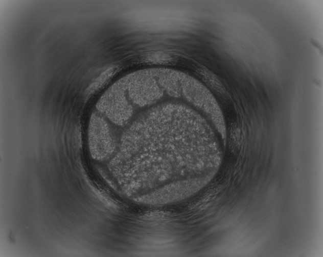 X0000092220734200710121156