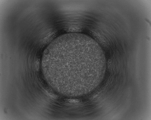 X0000092220741200710121156