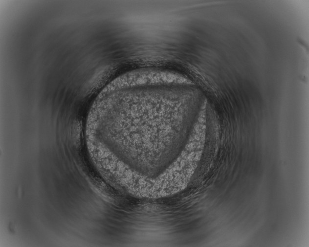 X0000092220742200710121156