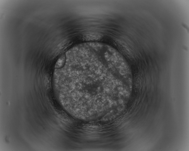X0000092220743200710121156