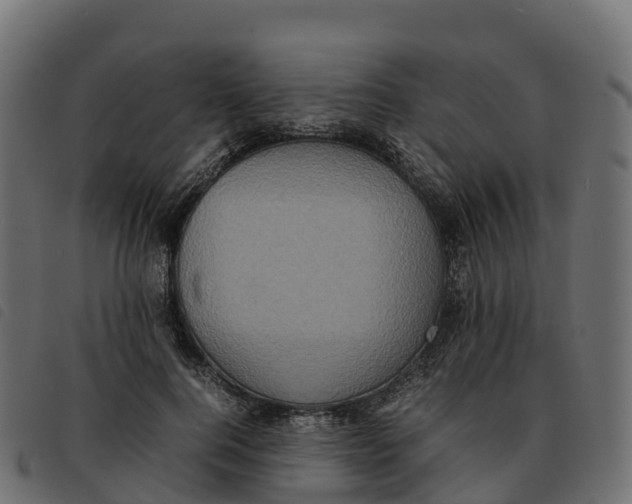 X0000092220744200710121156