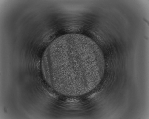 X0000092220745200710121156