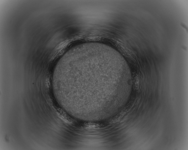 X0000092220746200710121156