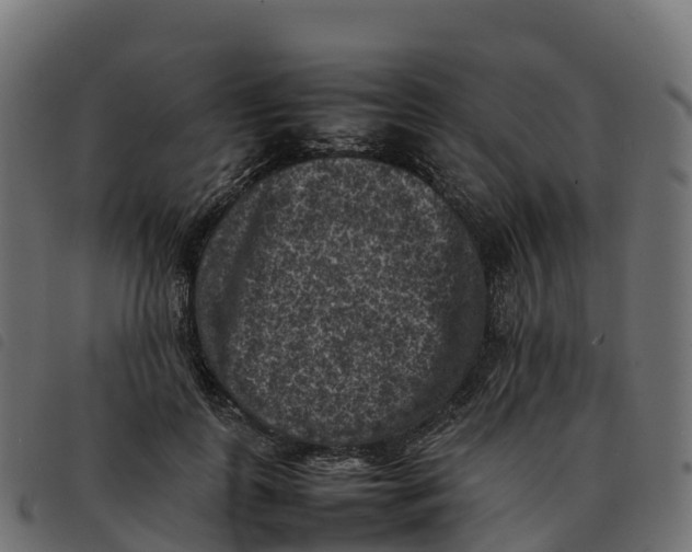 X0000092220747200710121156
