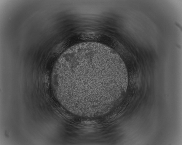 X0000092220749200710121156