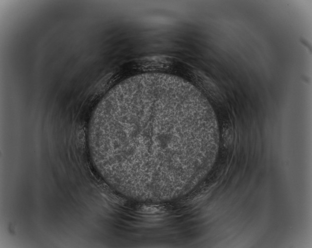 X0000092220753200710121156