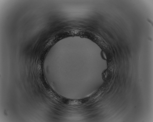 X0000092220754200710121156