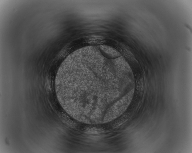 X0000092220755200710121156