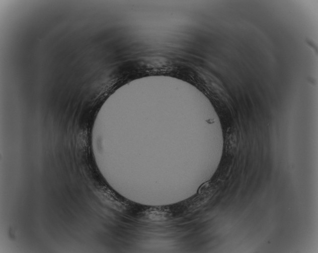 X0000092220756200710121156
