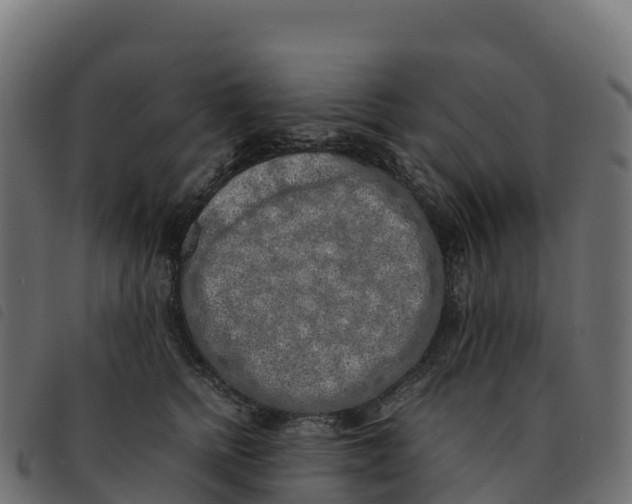 X0000092220758200710121156