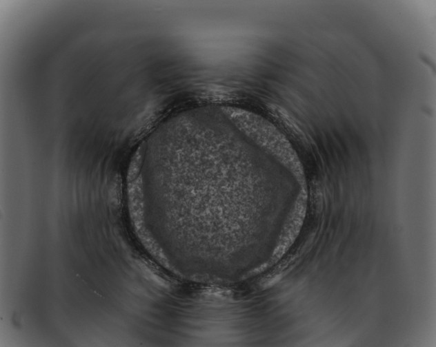 X0000092220760200710121157