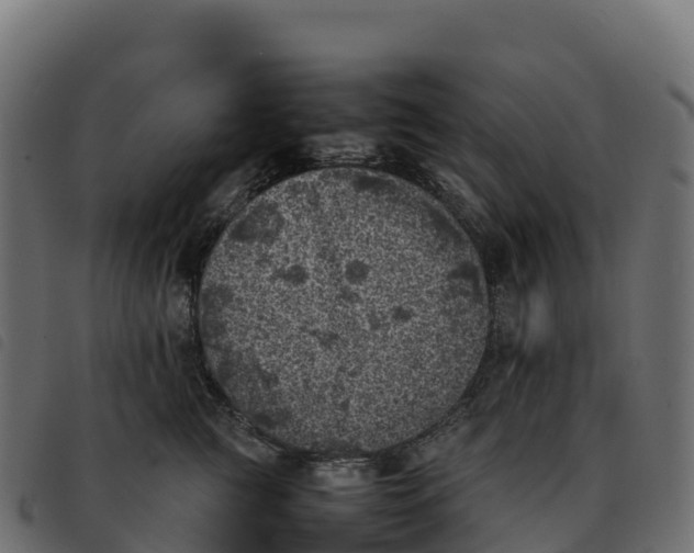 X0000092220761200710121157