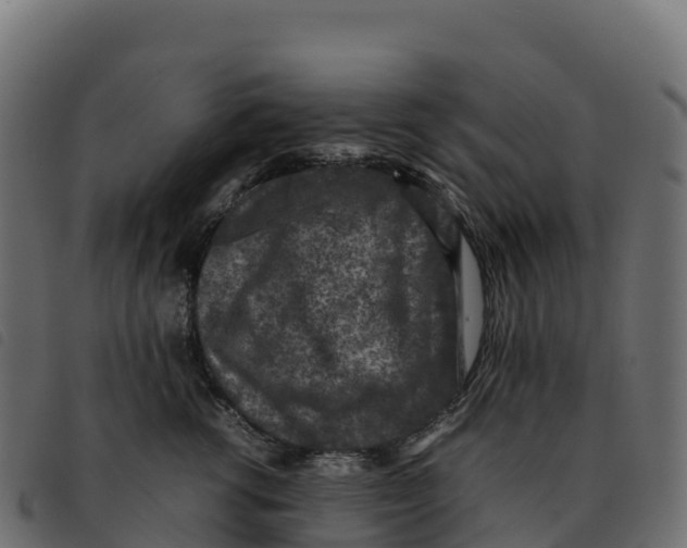 X0000092220762200710121157