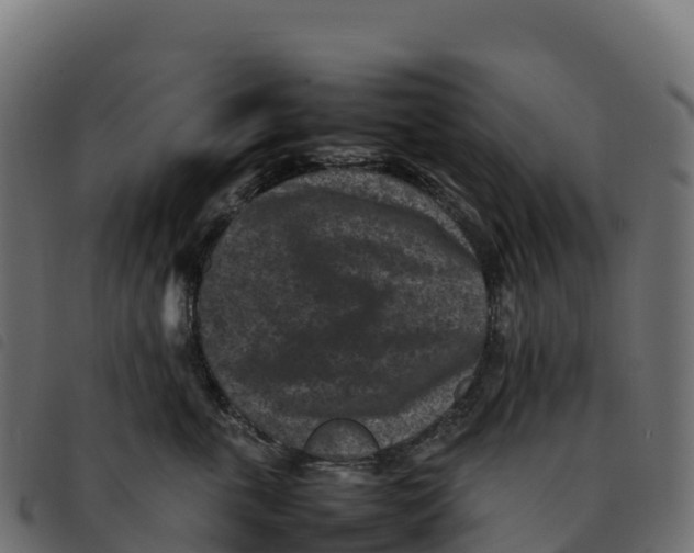 X0000092220763200710121157