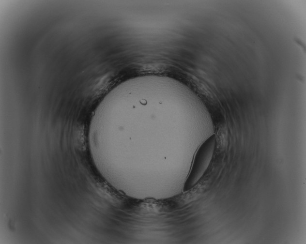 X0000092220764200710121157