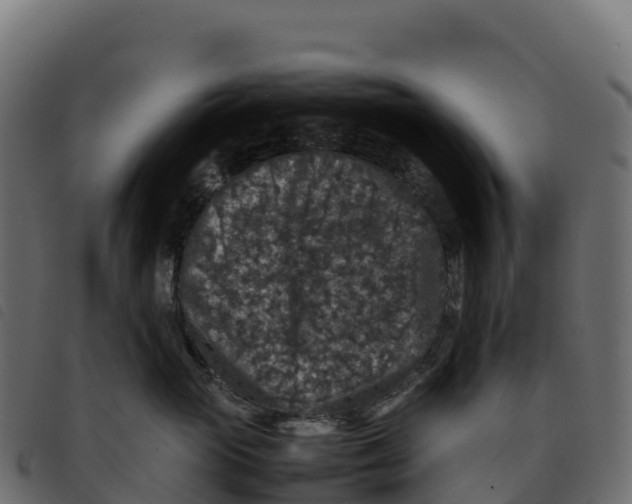 X0000092220765200710121157