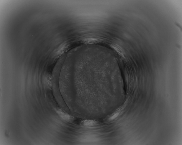 X0000092220766200710121157