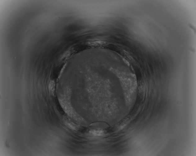 X0000092220767200710121157
