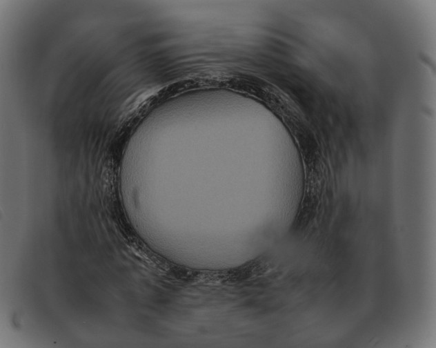 X0000092220773200710121156