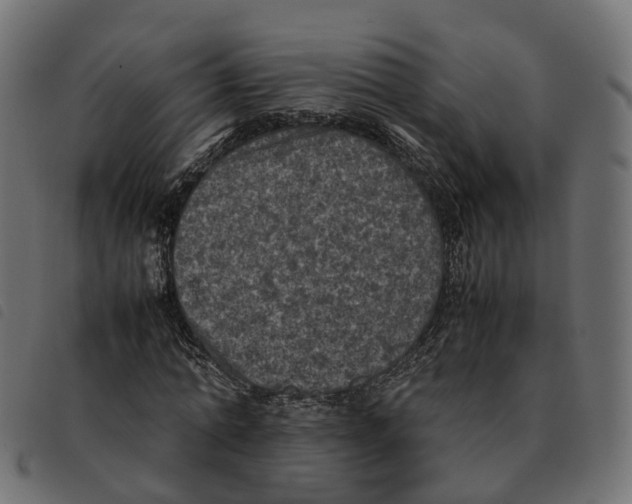 X0000092220774200710121156