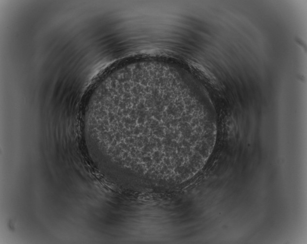 X0000092220776200710121156