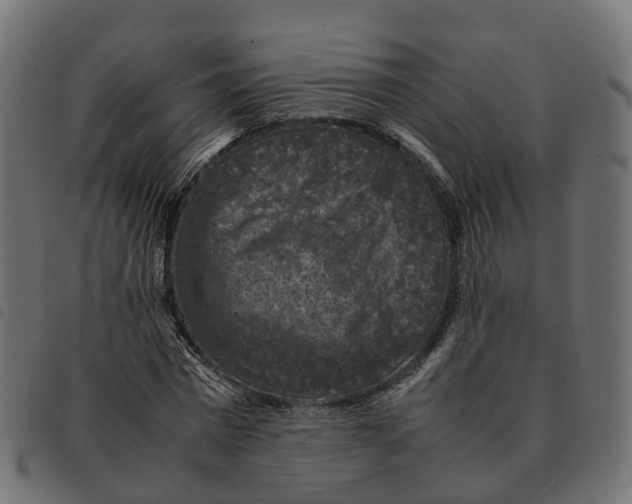 X0000092220777200710121156
