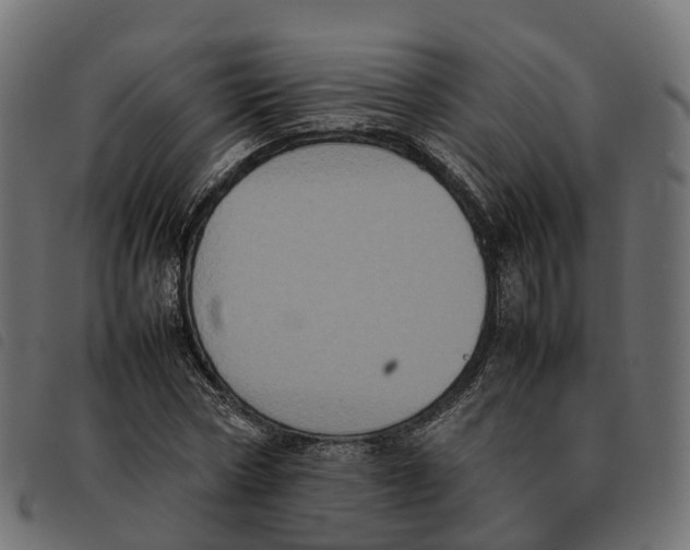 X0000092220778200710121156