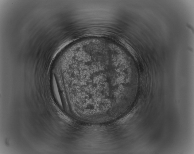 X0000092220779200710121156